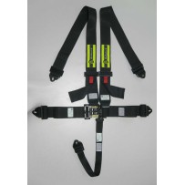 Arnes Nascar Beltenick 5 puntos